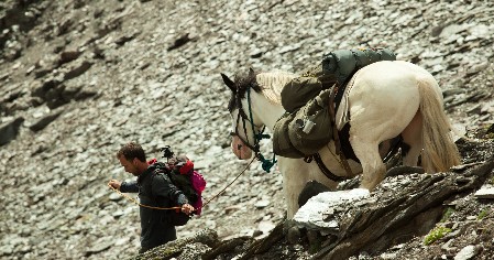 Ausrüstung und Zubehör für das Wandern mit Packtier, Pferd Muli Esel